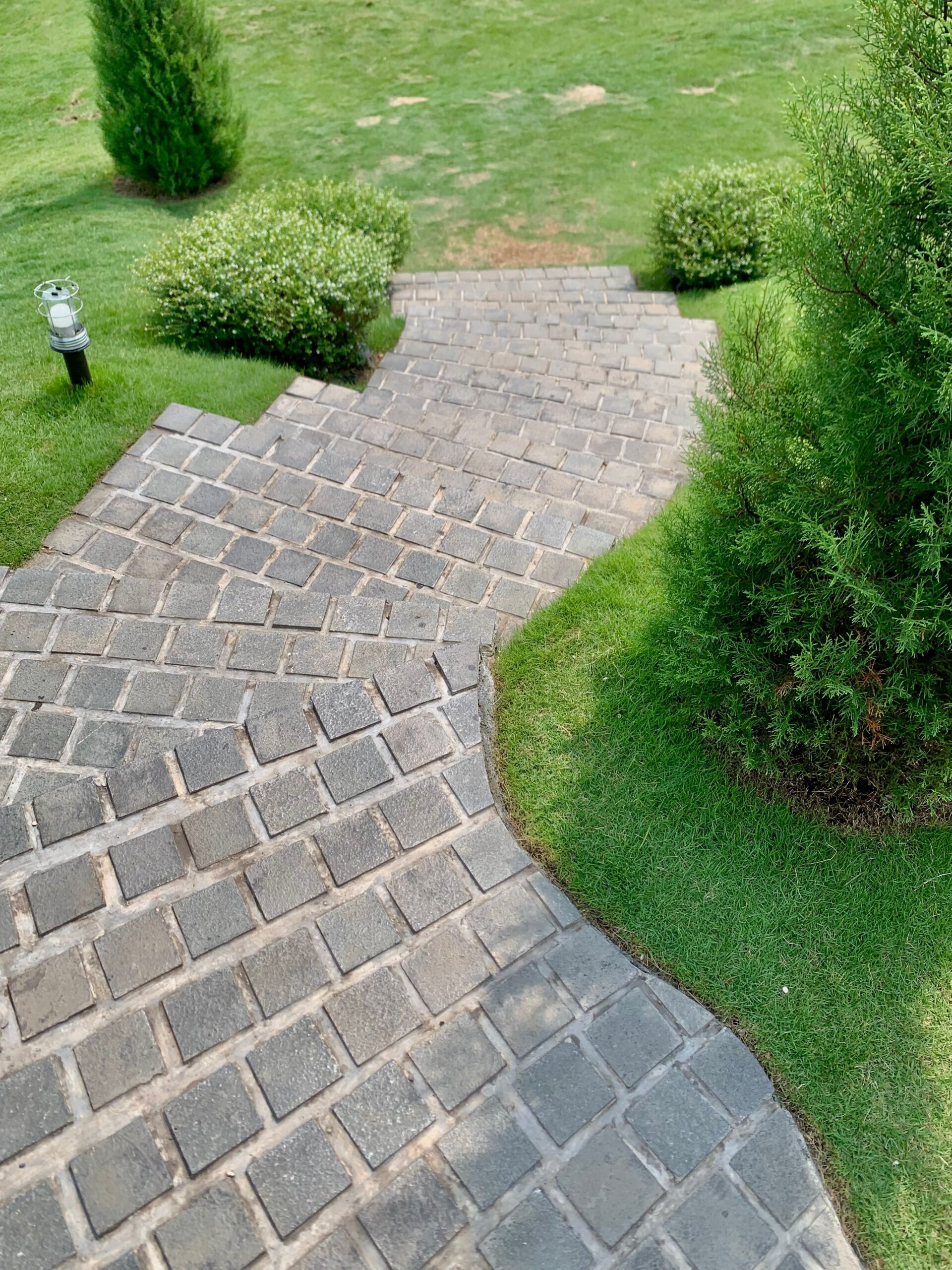 Charming brick footpath surrounded by green foliage. Perfect for serene garden settings.